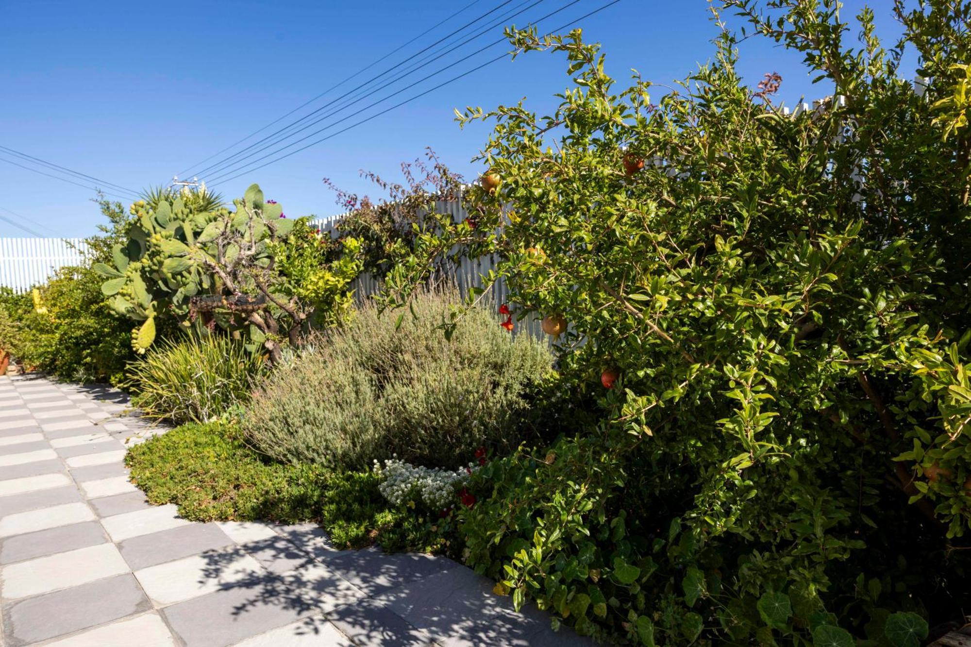 Villa Big Family Friendly For A Summer Cape Town
